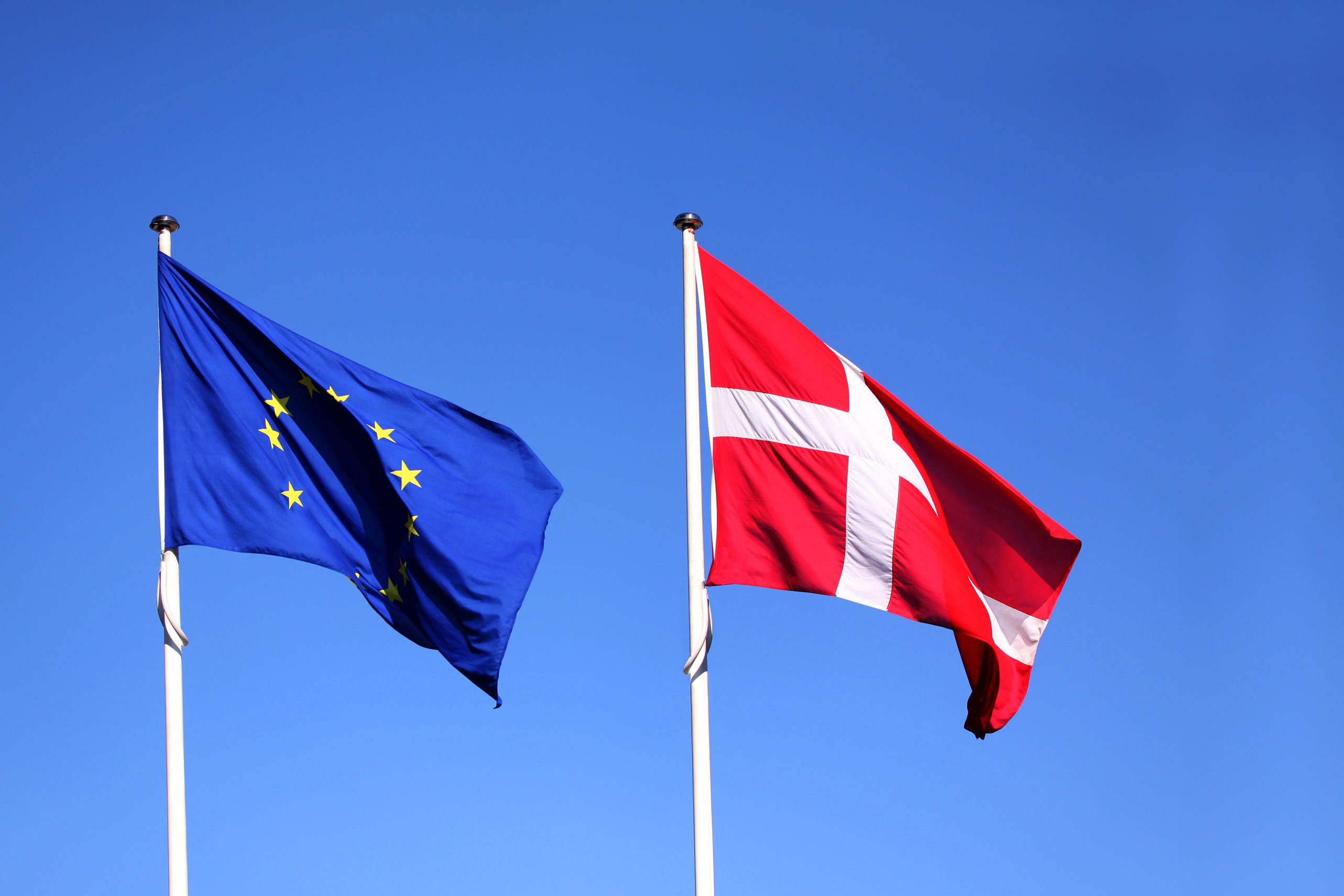 Billede af EU-flag og Dannebrog